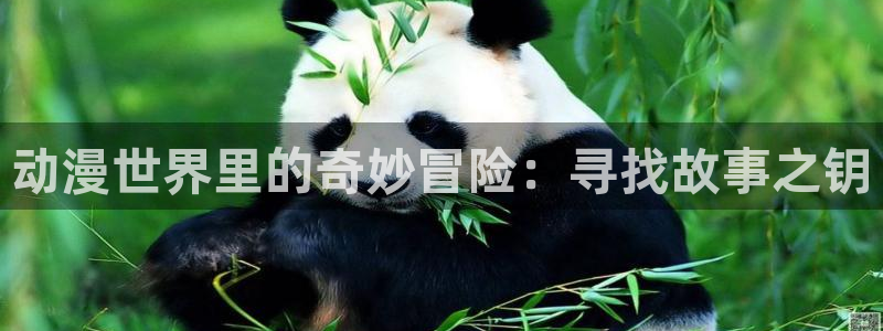 动漫评分榜