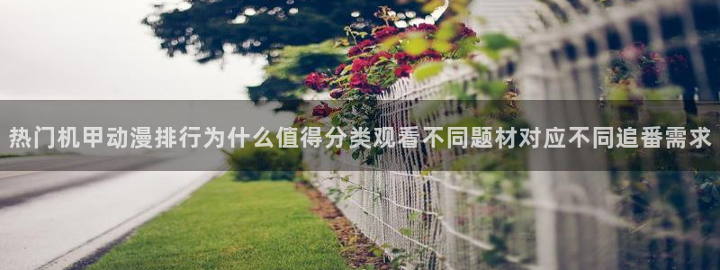 最新动漫大全