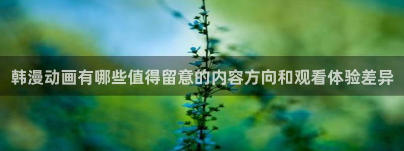 新番动漫