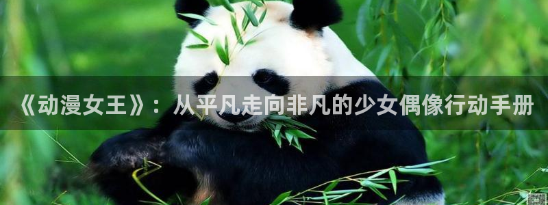 动漫网网址大全