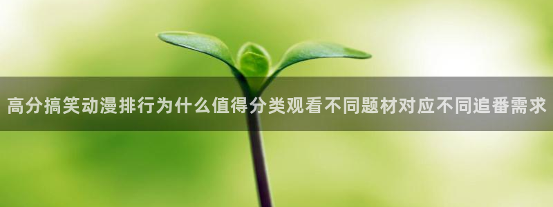 新番动画排行