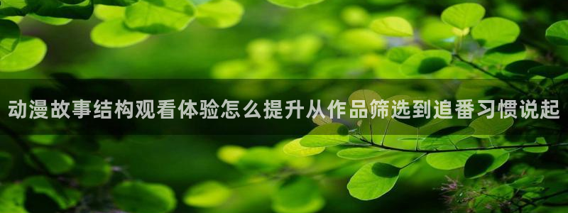 热门动漫作品