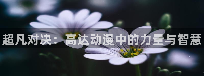 动漫作品查询