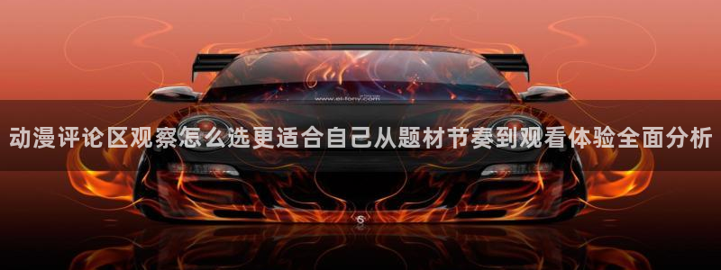 动漫在线观看网站