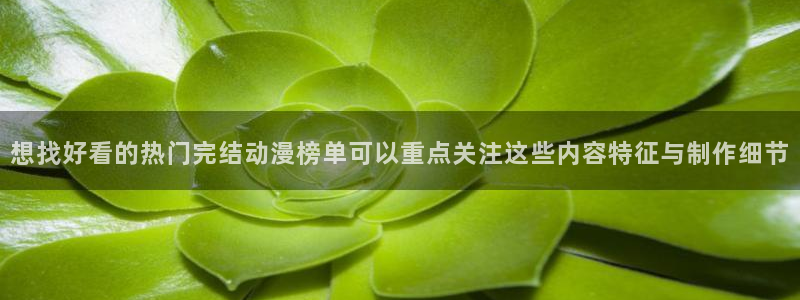 动漫作品搜索