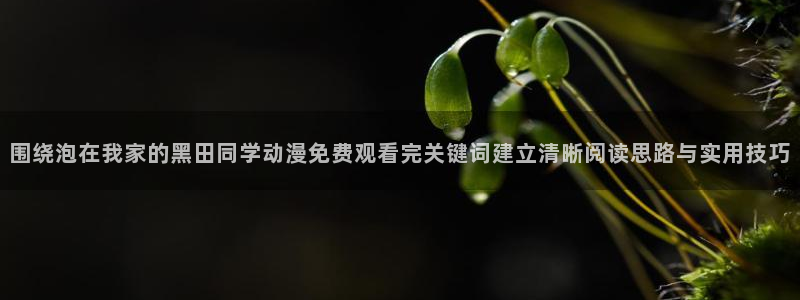 国产动漫