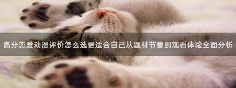 运动动漫:高分恋爱动漫评价怎么选更适合自己从题材节奏到观看体验全面分析