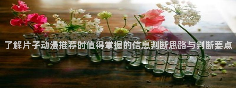 日本动画大全:了解片子动漫推荐时值得掌握的信息判断思路与判断要点