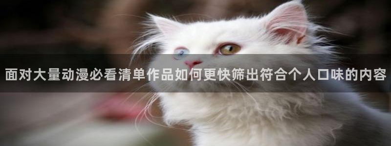 最新动漫推荐