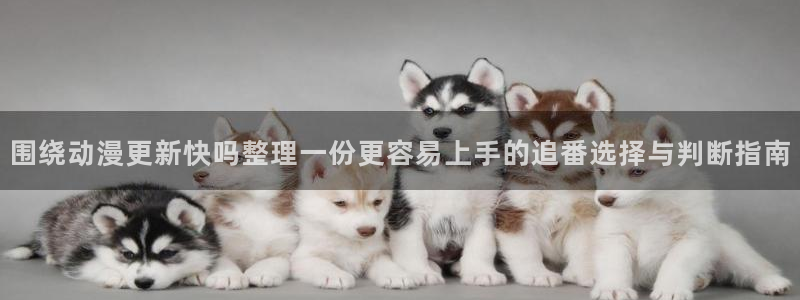 动画新闻