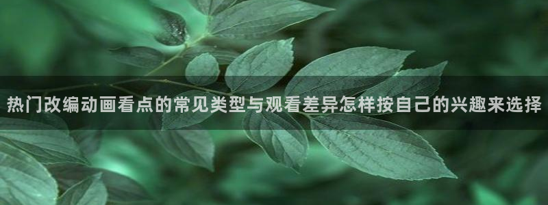 最新动漫推荐