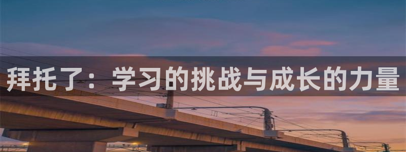 新番动画大全