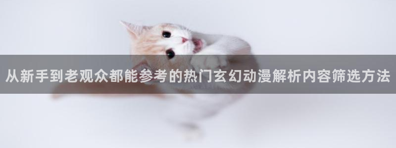连载动漫